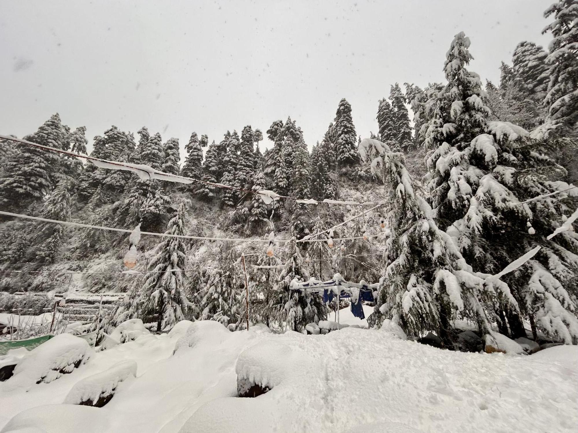 Hostel 360 Degree Manali  Exterior photo